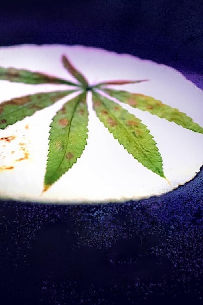 Cooked With Cannabis
