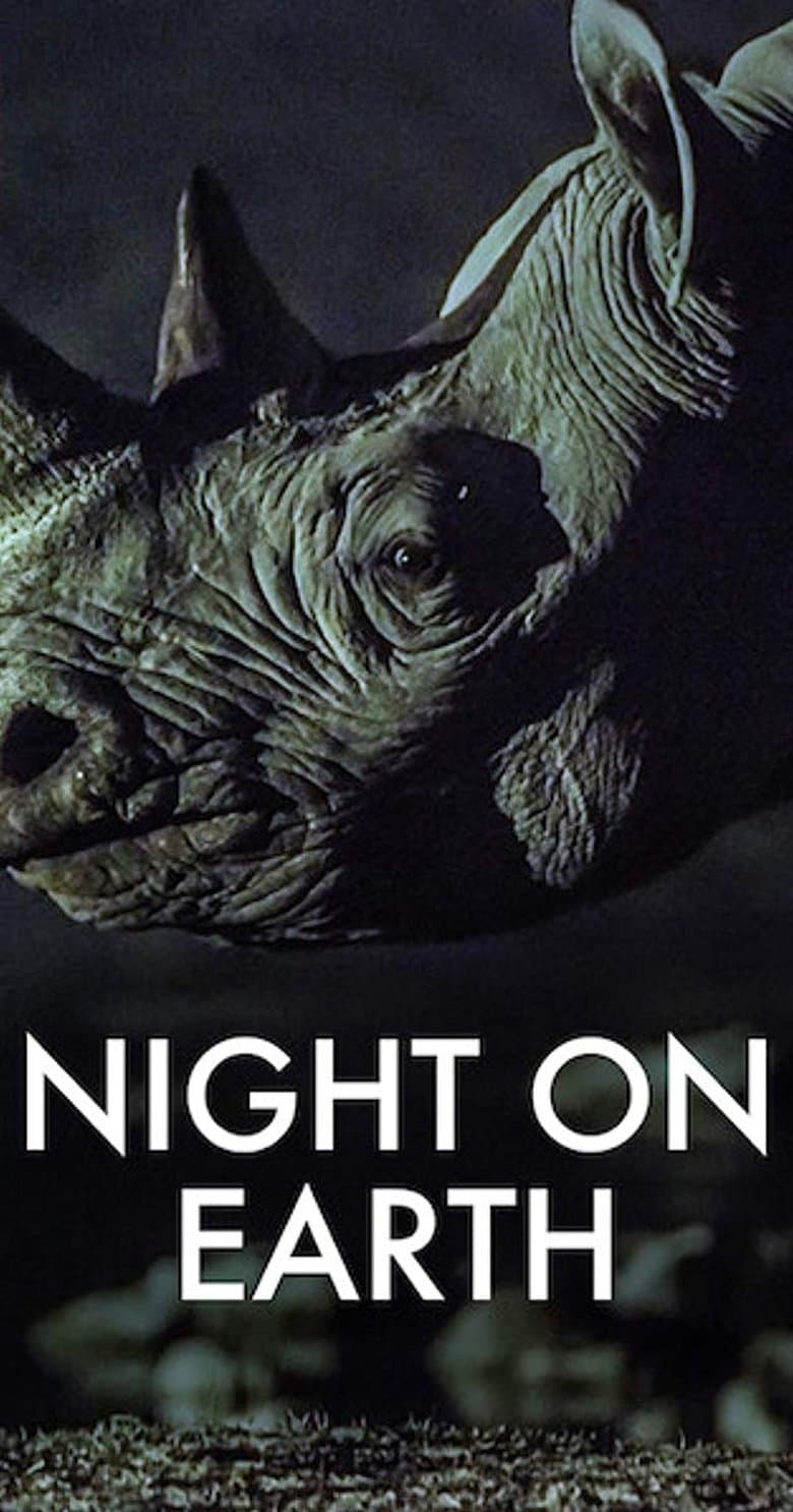 Night on Earth