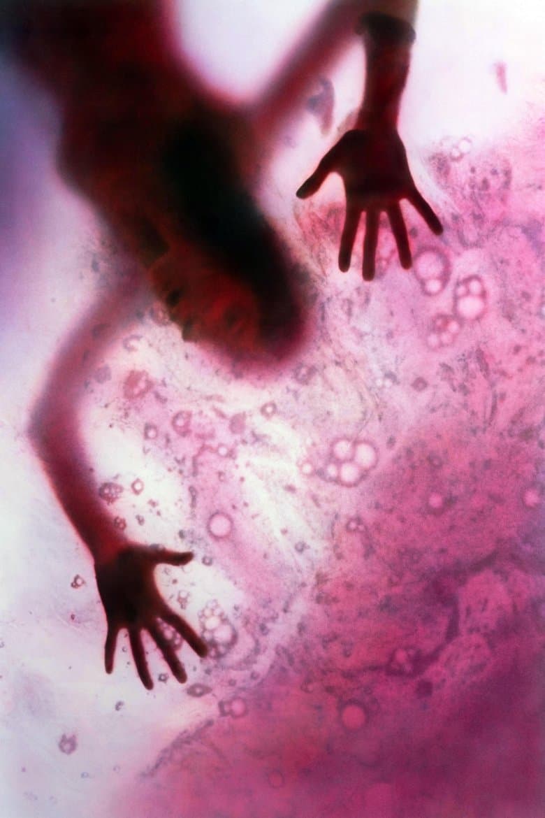 The Blob