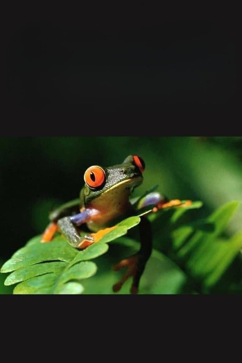Life on Earth