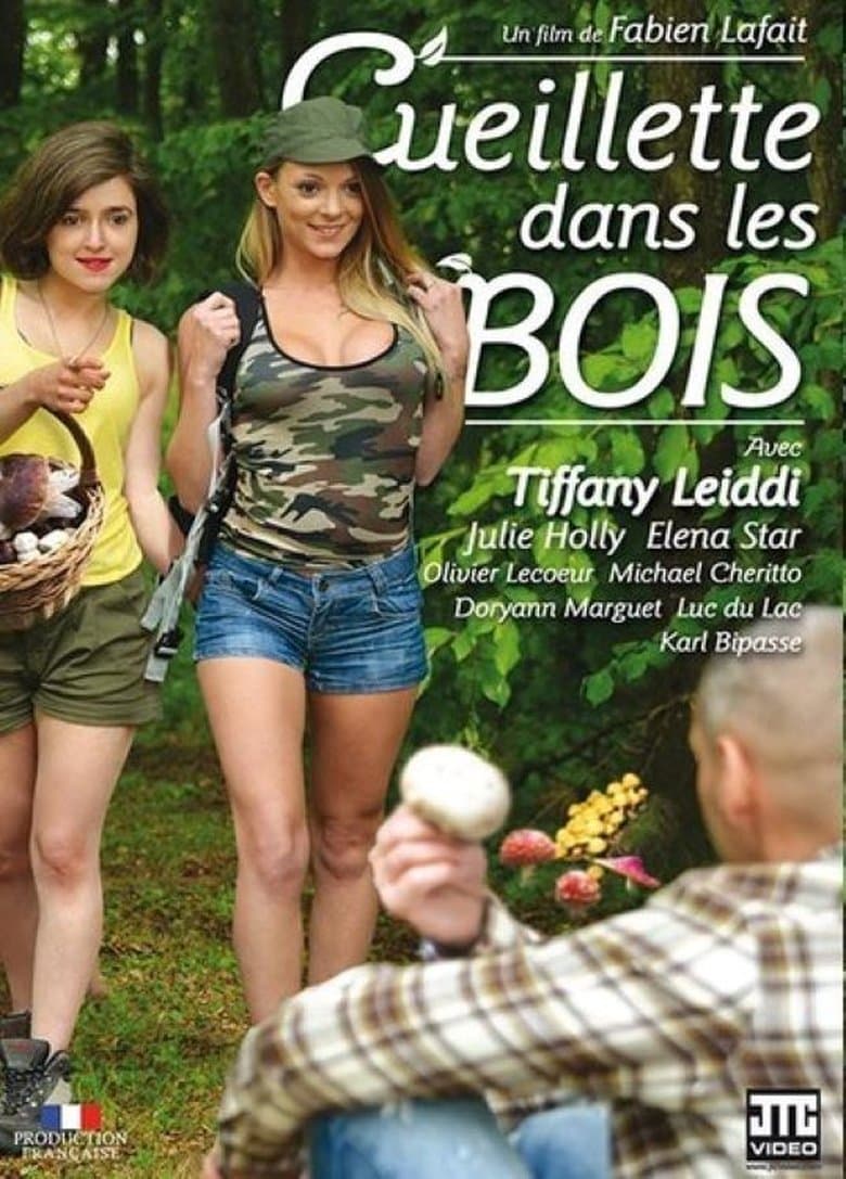 Cueillette Dans Les Bois