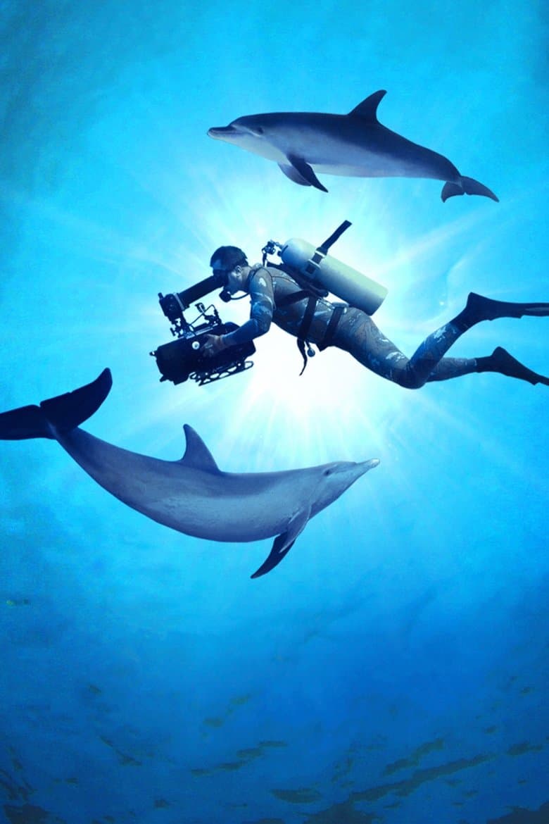 Diving with Dolphins