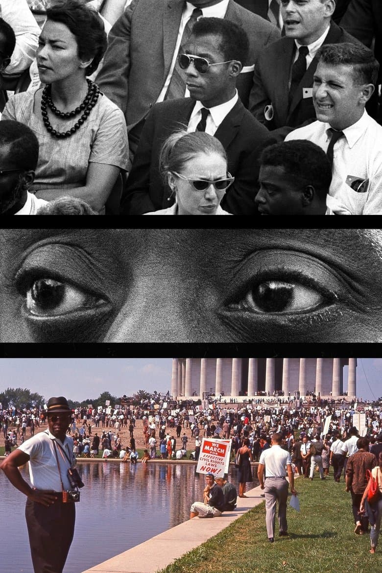 I Am Not Your Negro