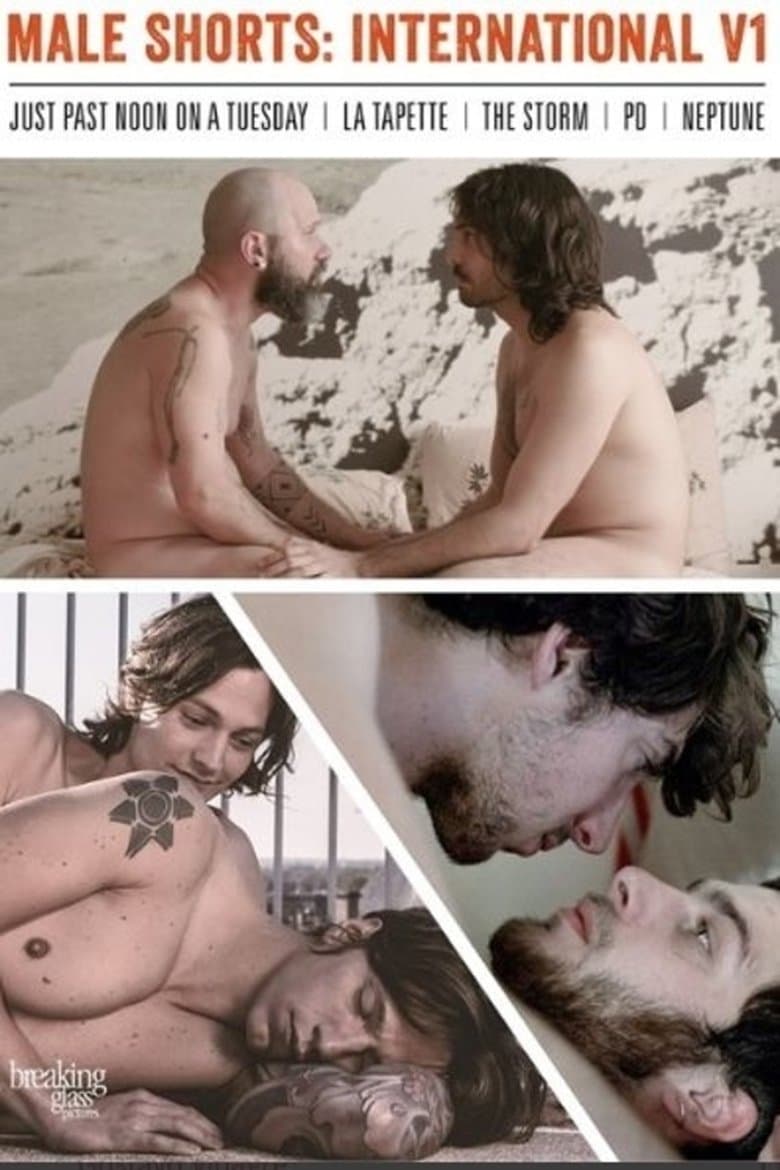 Male Shorts: International V1