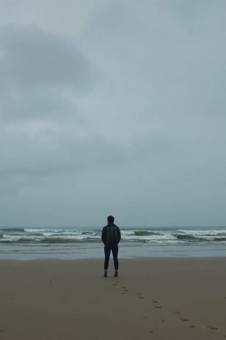 The Walk