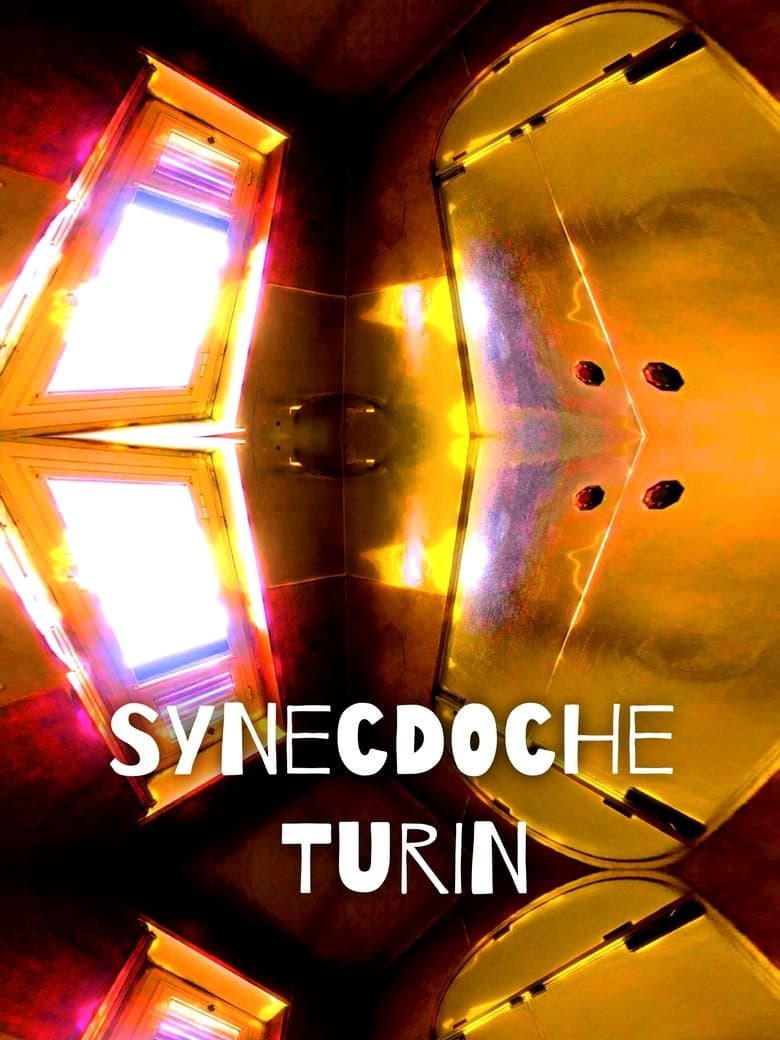 Synecdoche Turin