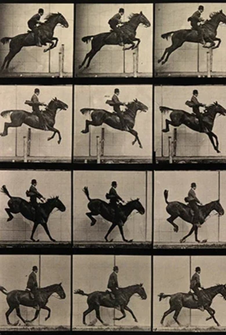 Eadweard Muybridge, Zoopraxographer