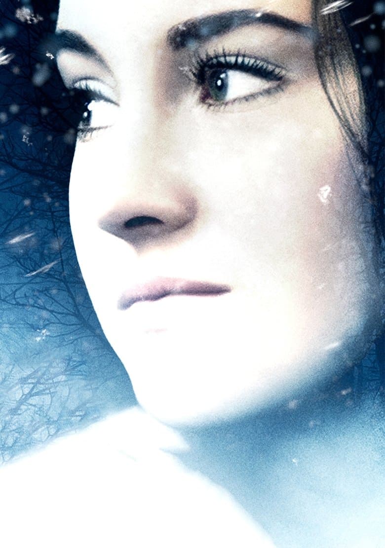 White Bird in a Blizzard