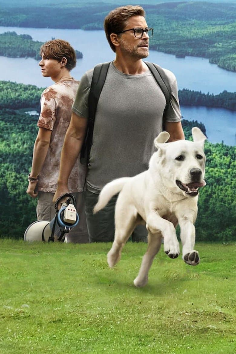 Dog Gone