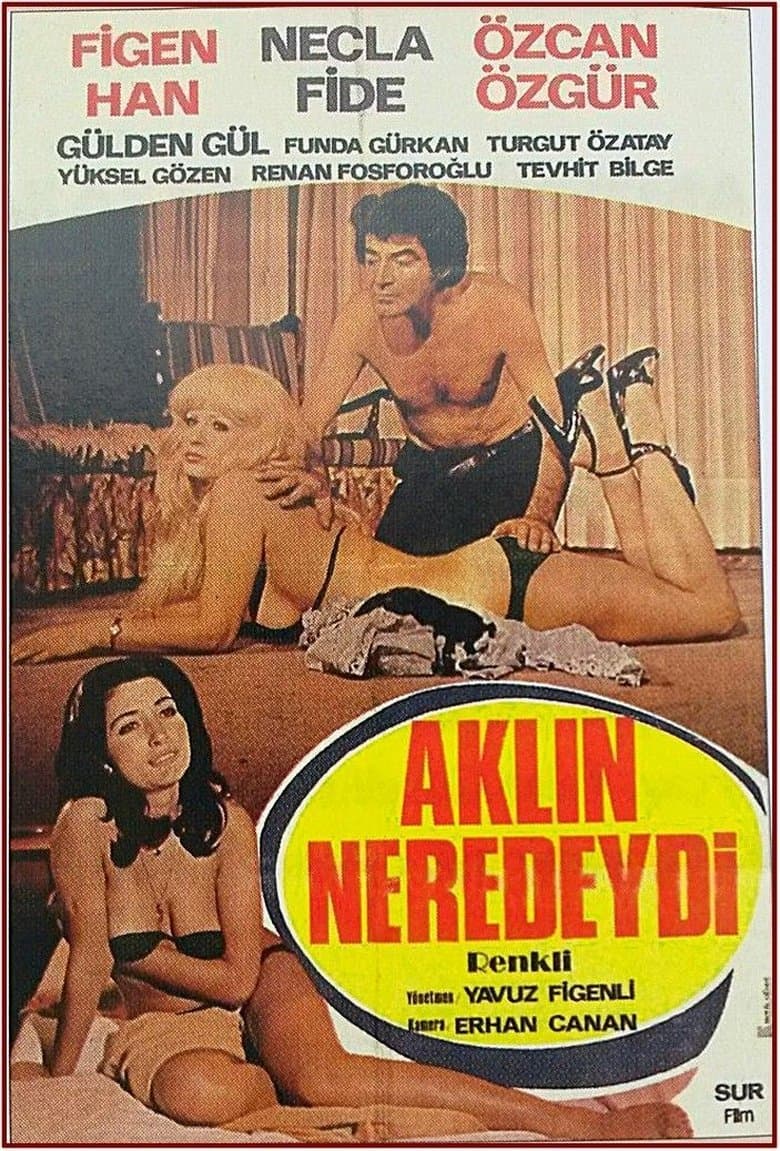 Aklın Neredeydi
