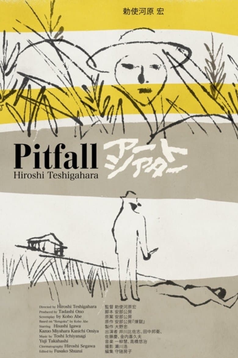 Pitfall