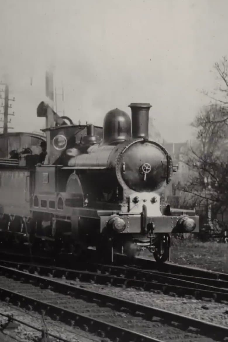 Irish Mail – L.& N.W. Railway – Taking up Water at Full Speed