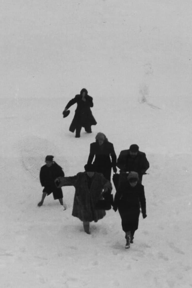 The Travelling Players