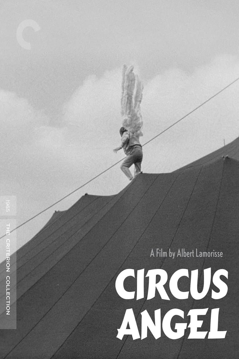Circus Angel