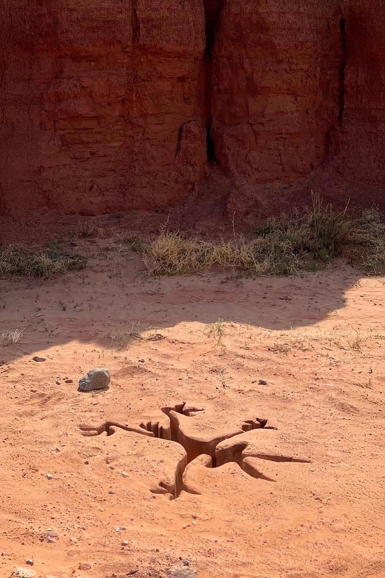 Coyote vs. Acme