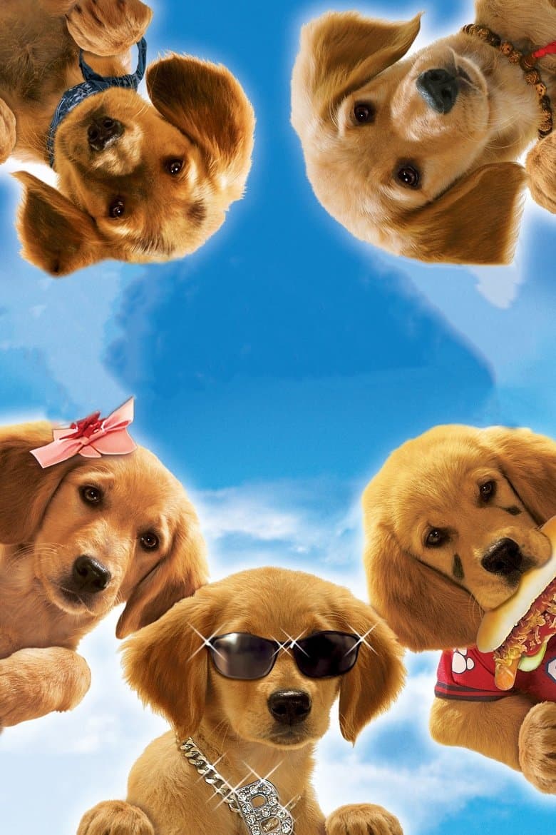 Air Buddies