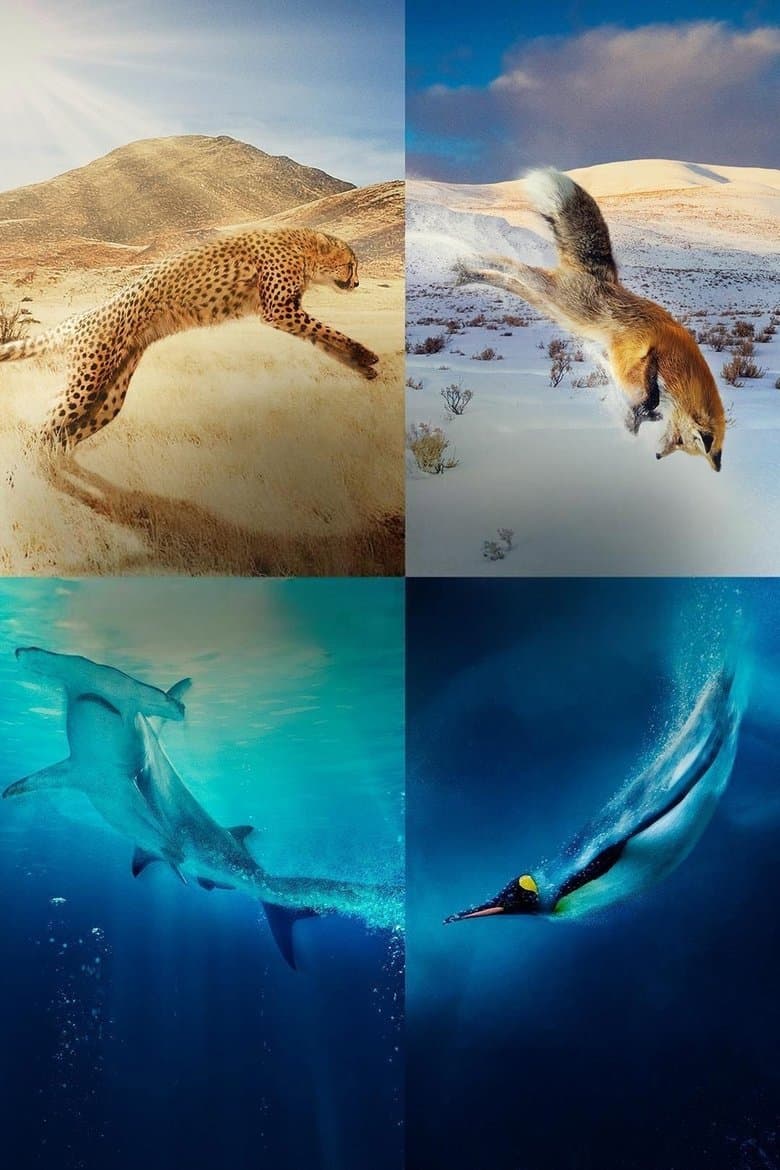 A Year on Planet Earth