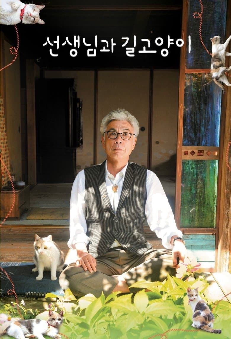 Teacher and Stray Cat