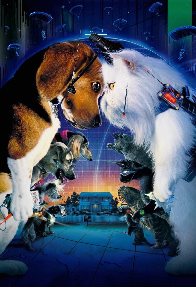 Cats & Dogs