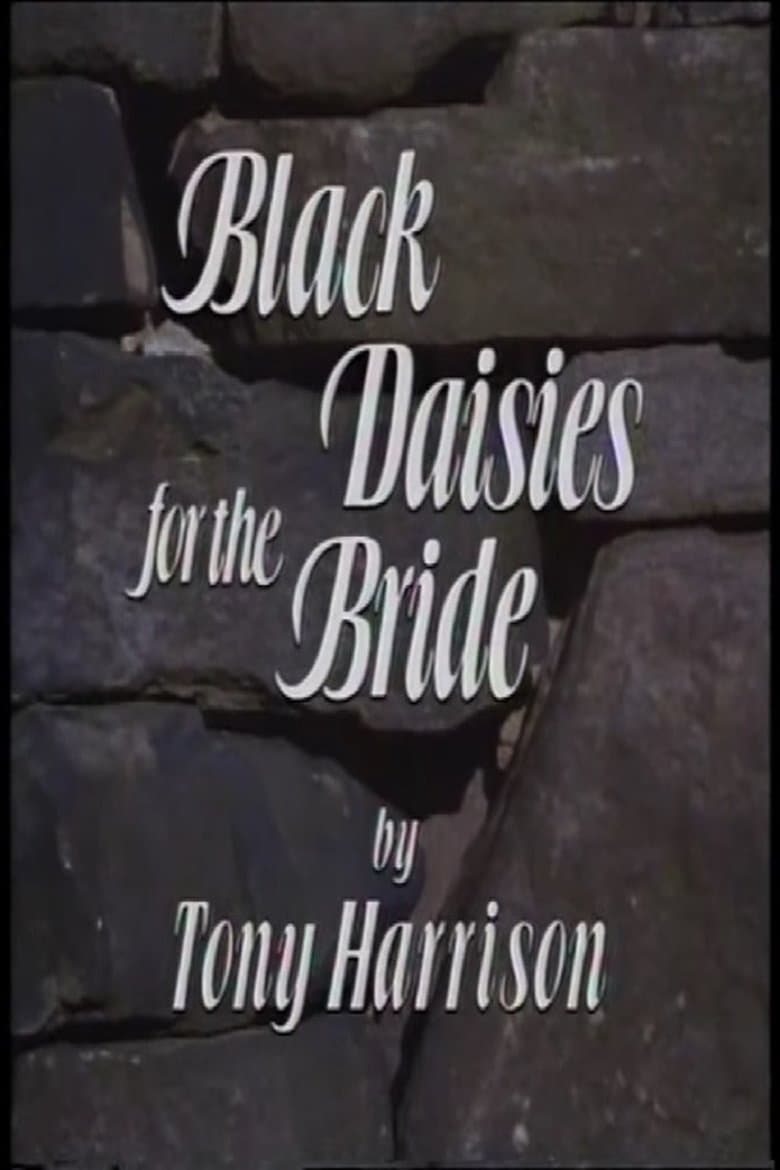 Black Daisies For The Bride
