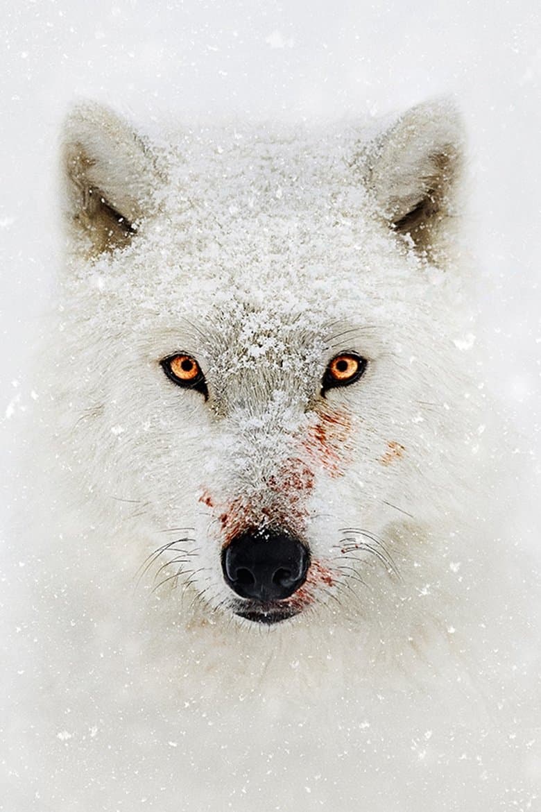 Hostile Planet
