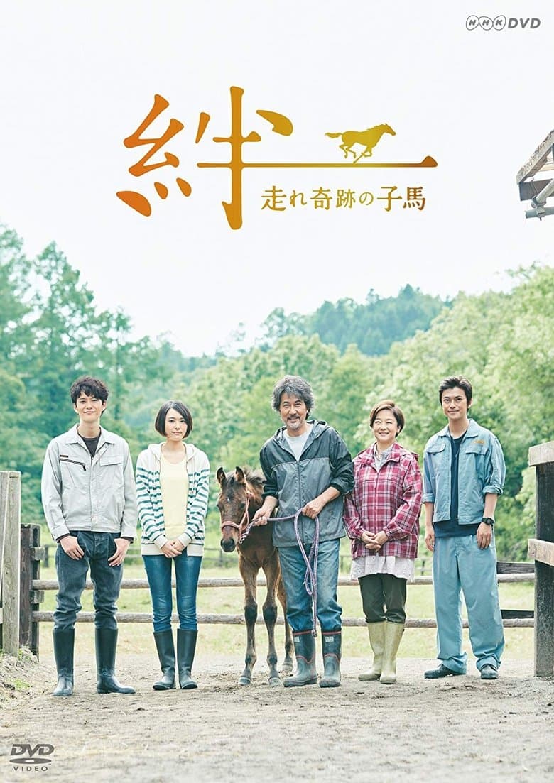Ties: A Miraculous Colt