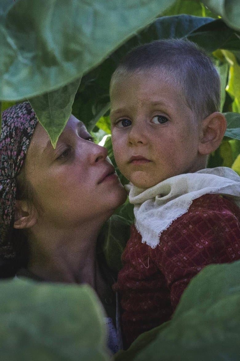 Happy as Lazzaro