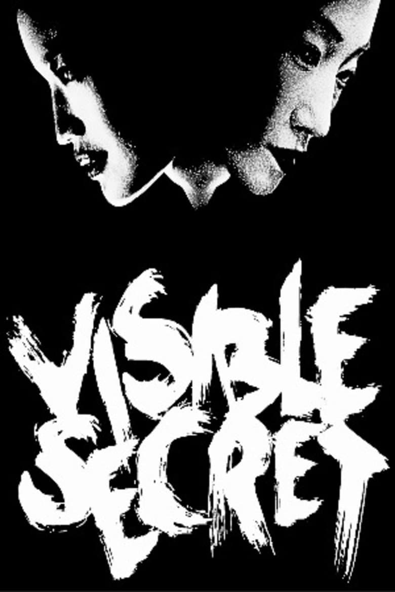 Visible Secret