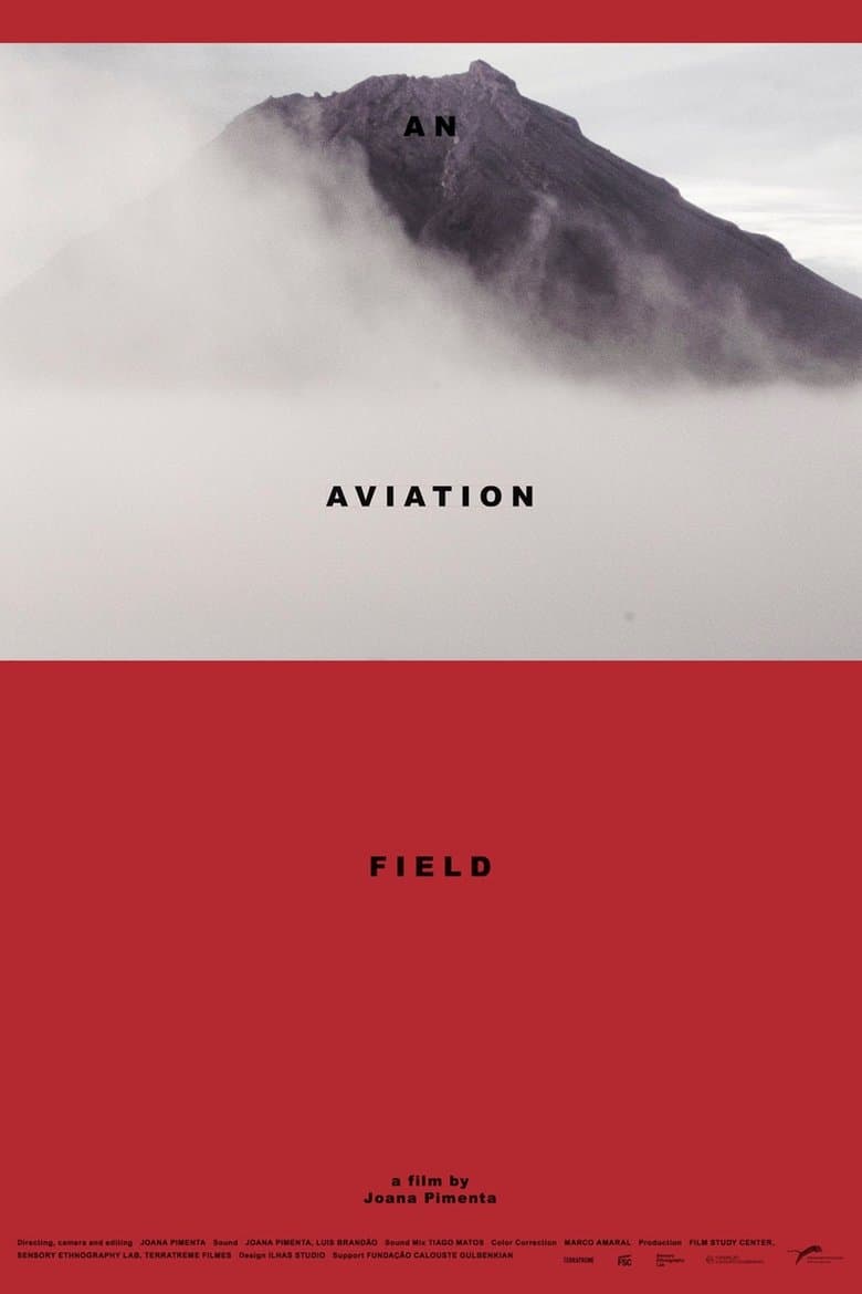An Aviation Field