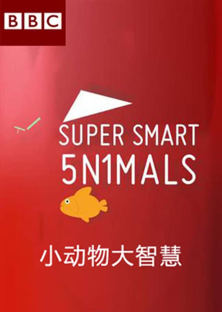 Super Smart Animals