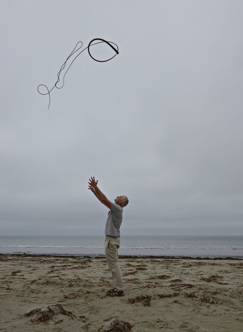 Leaning Into the Wind: Andy Goldsworthy