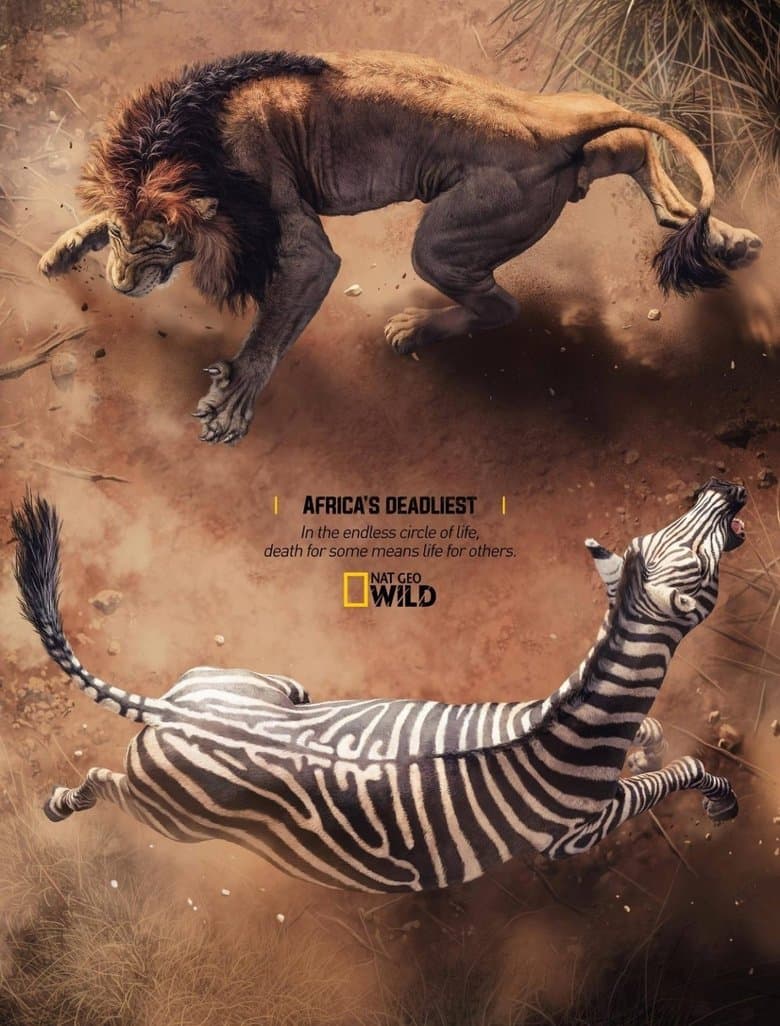 Africa's Deadliest