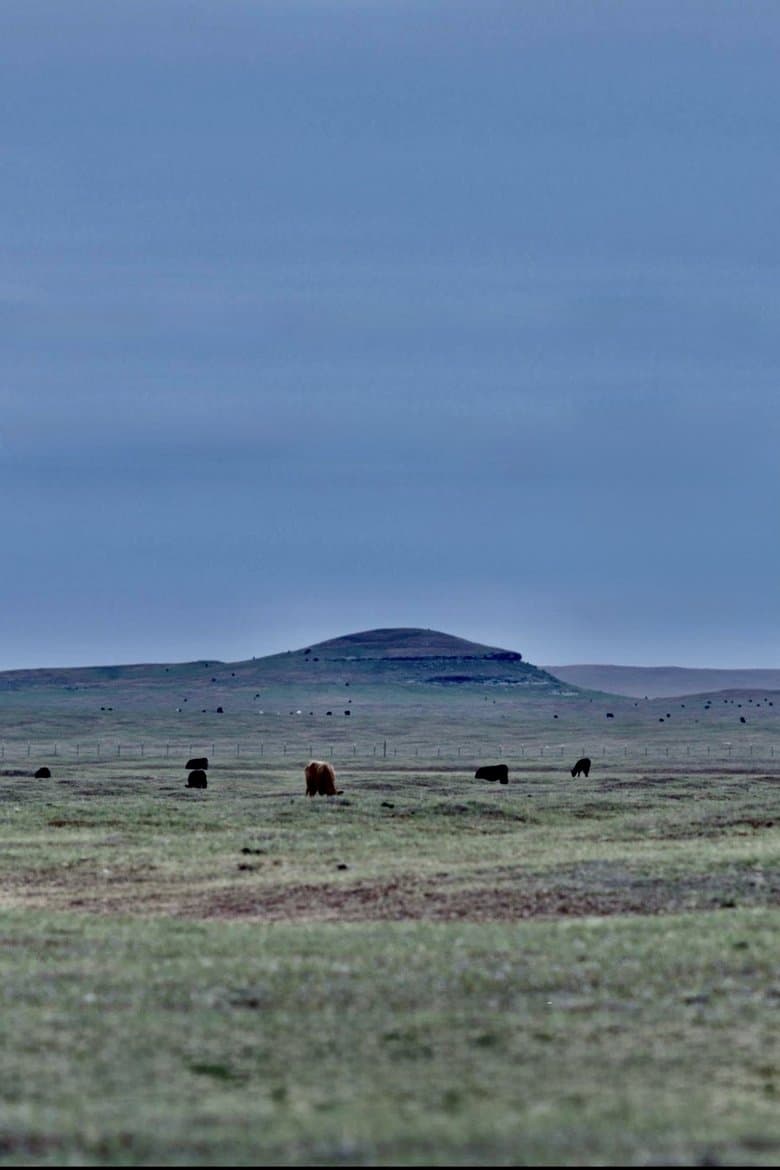 Grassland