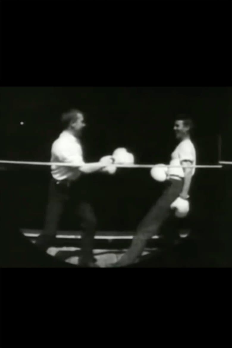 Men Boxing