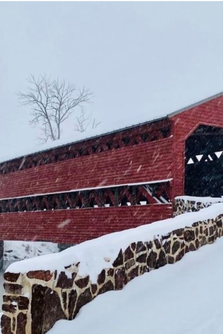 A Gettysburg Christmas