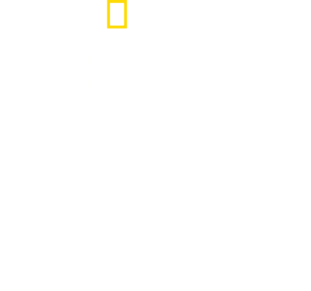 Inside the SS
