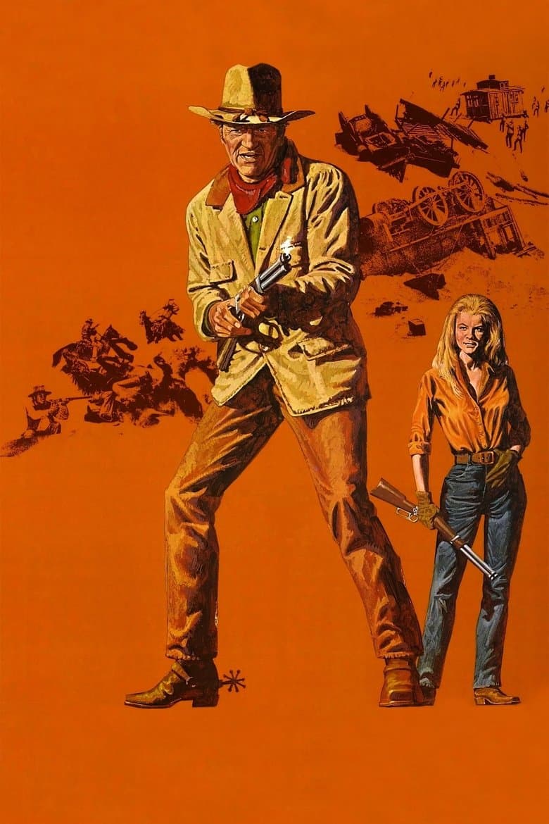 The Train Robbers