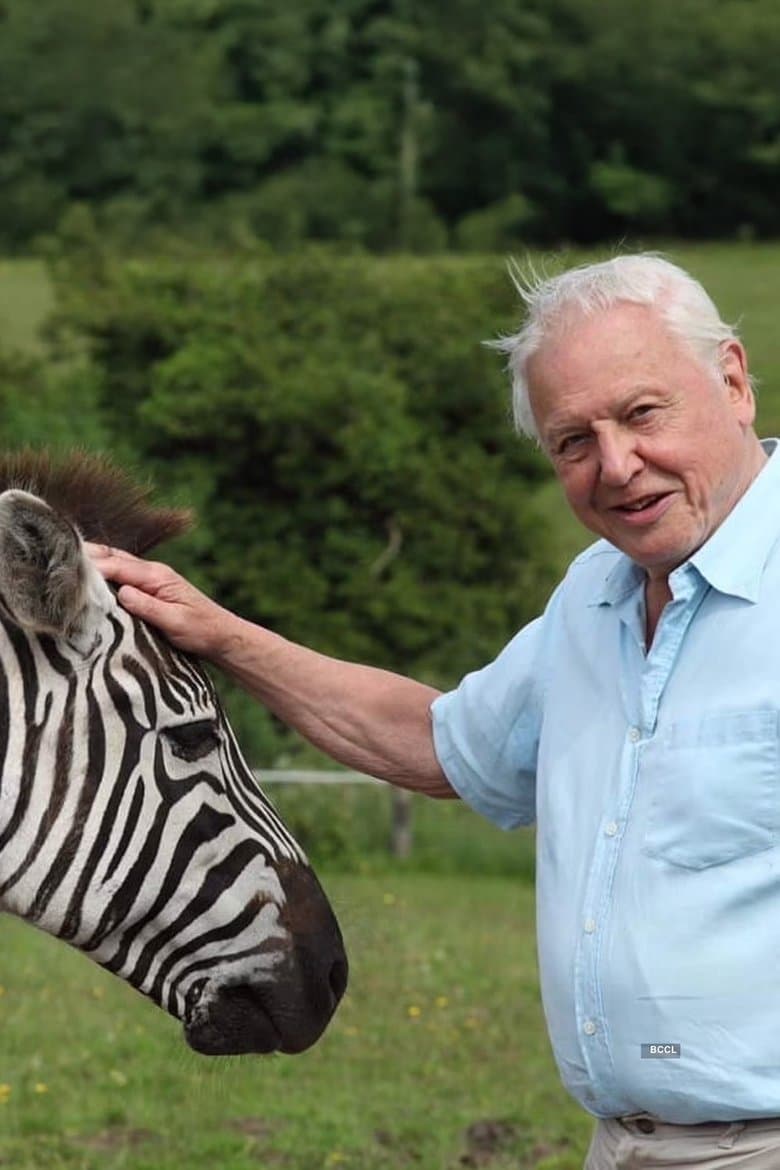 David Attenborough's Natural Curiosities