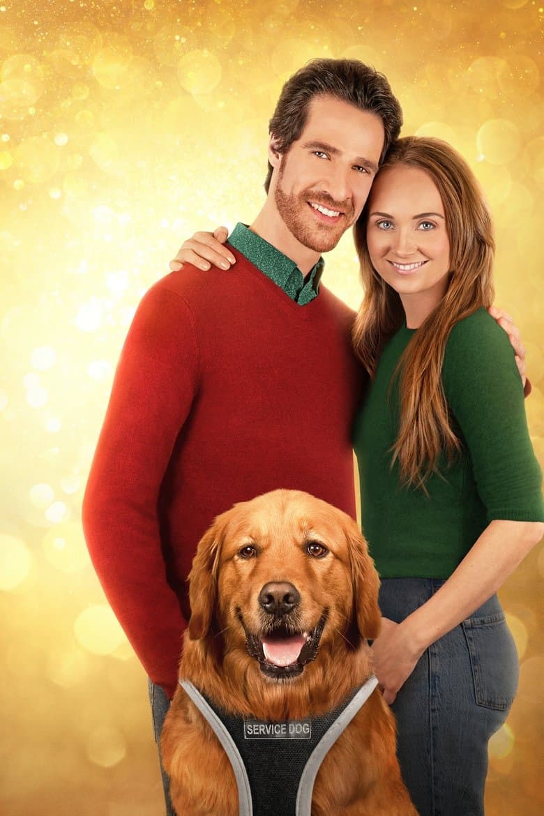 My Christmas Guide
