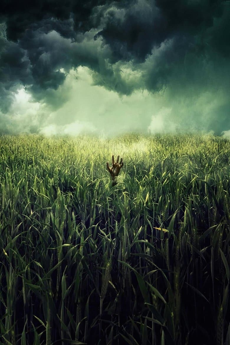In the Tall Grass