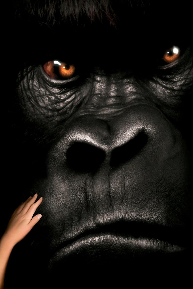 Mighty Joe Young