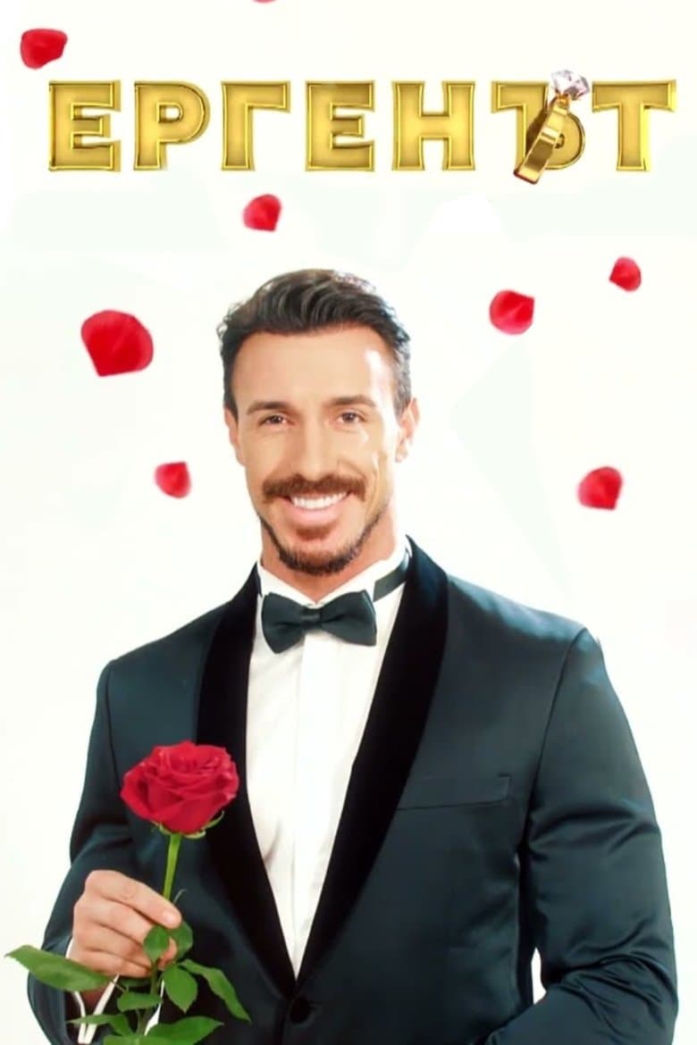 The Bachelor bTV