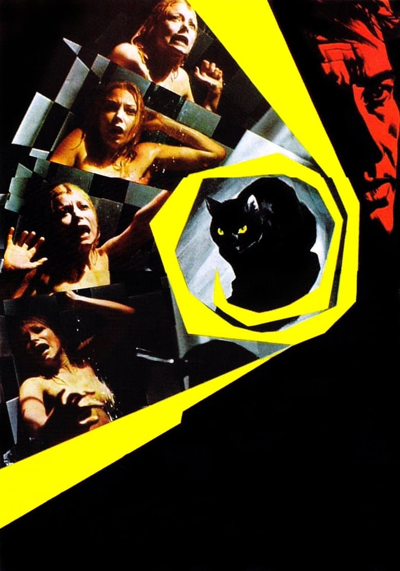 The Crimes of the Black Cat