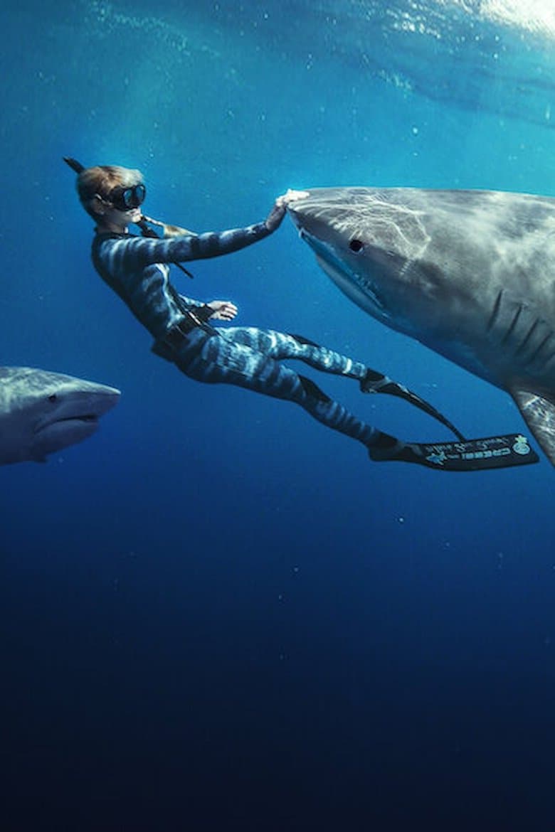 Shark Whisperer