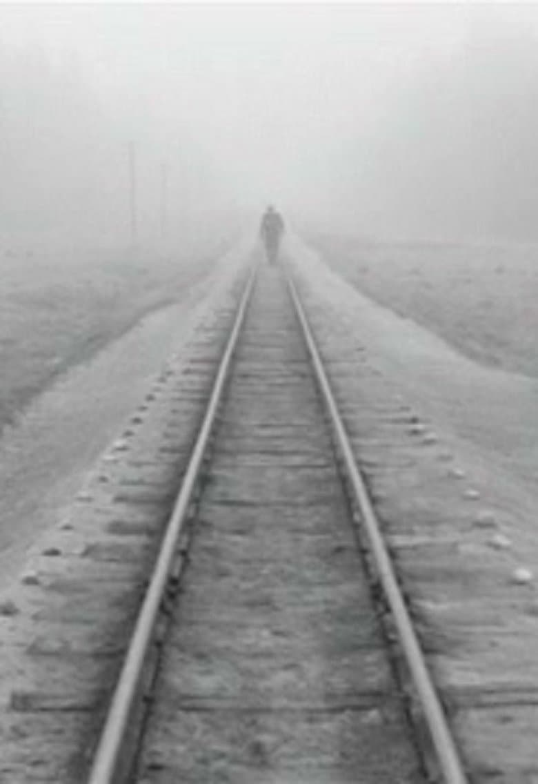 A Trip Across Misty Meadows